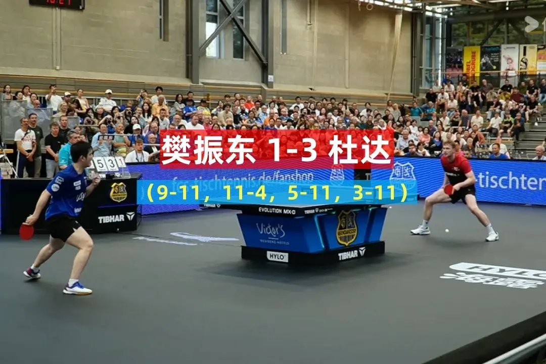 奉行, 樊振东遇挫
