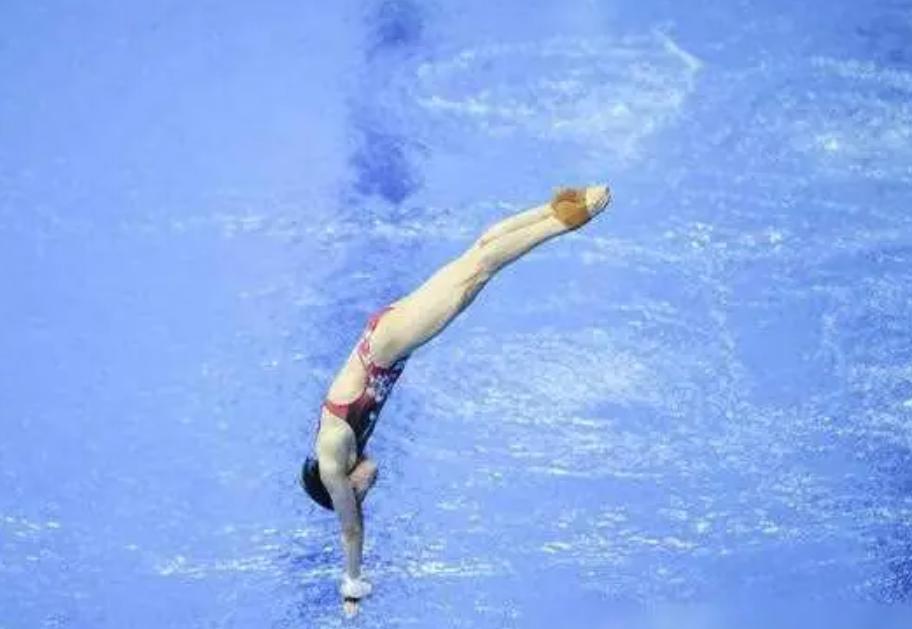 msn, 不然职业生