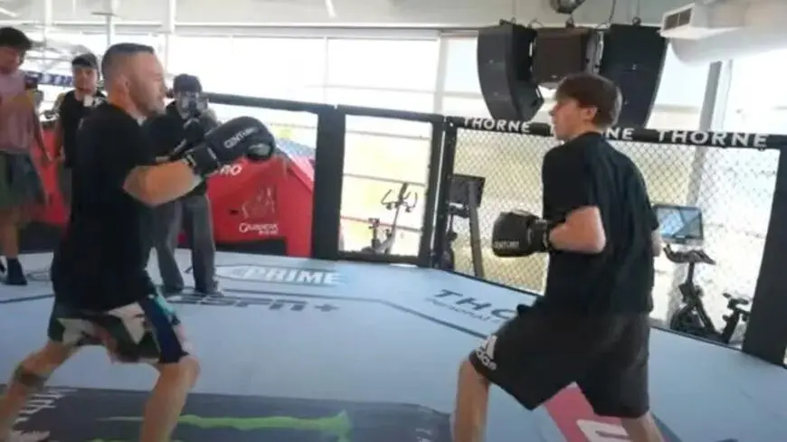 练中心, entit 练中心, entit