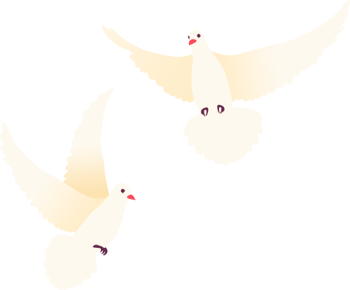 https, lTkdR, DdZ